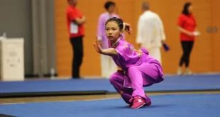 آموزش تخصصی ووشو در اصفهان از اسعتداد یابی تا قهرمانی